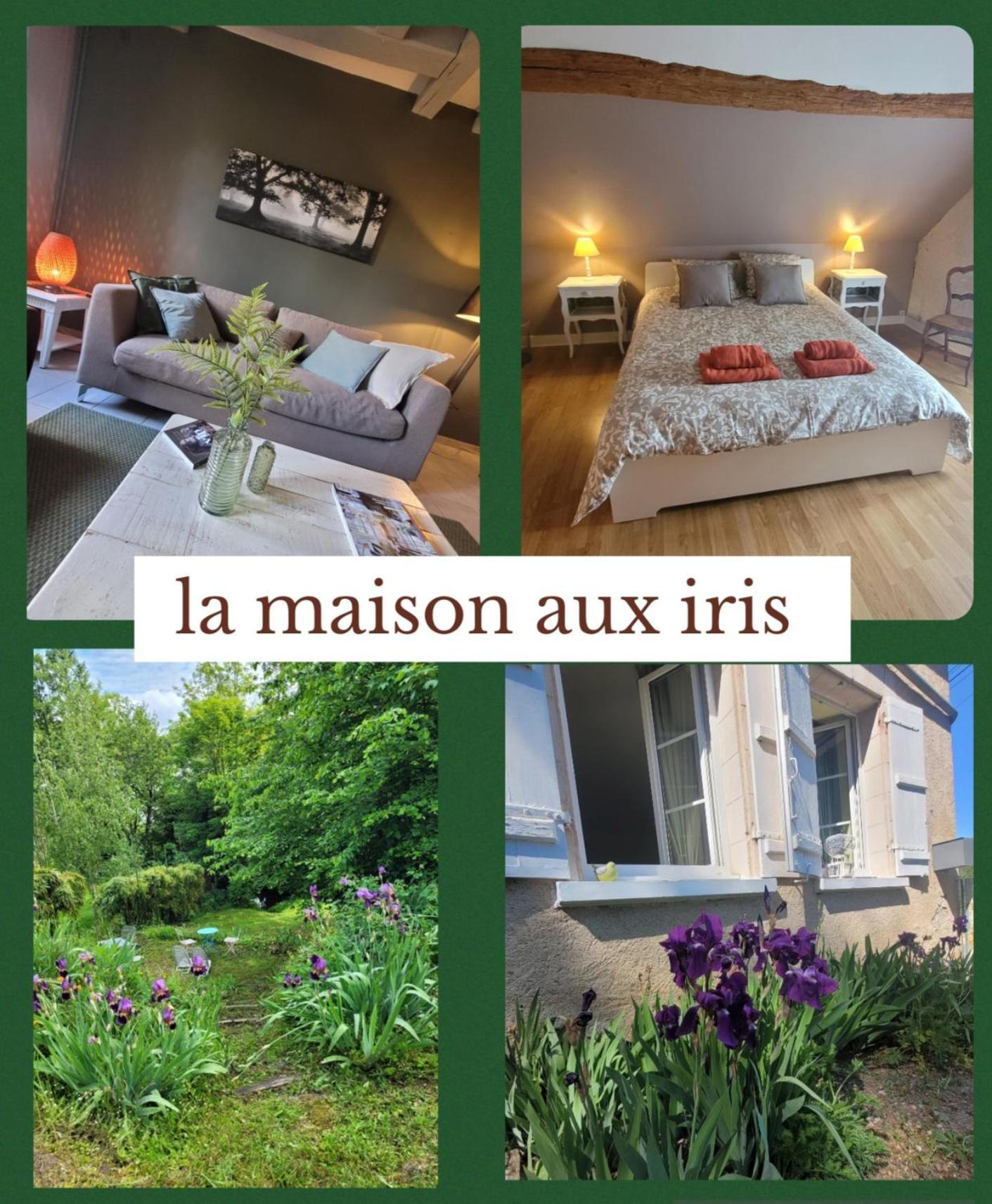 La Maison Aux Iris Poce-sur-Cisse Luaran gambar