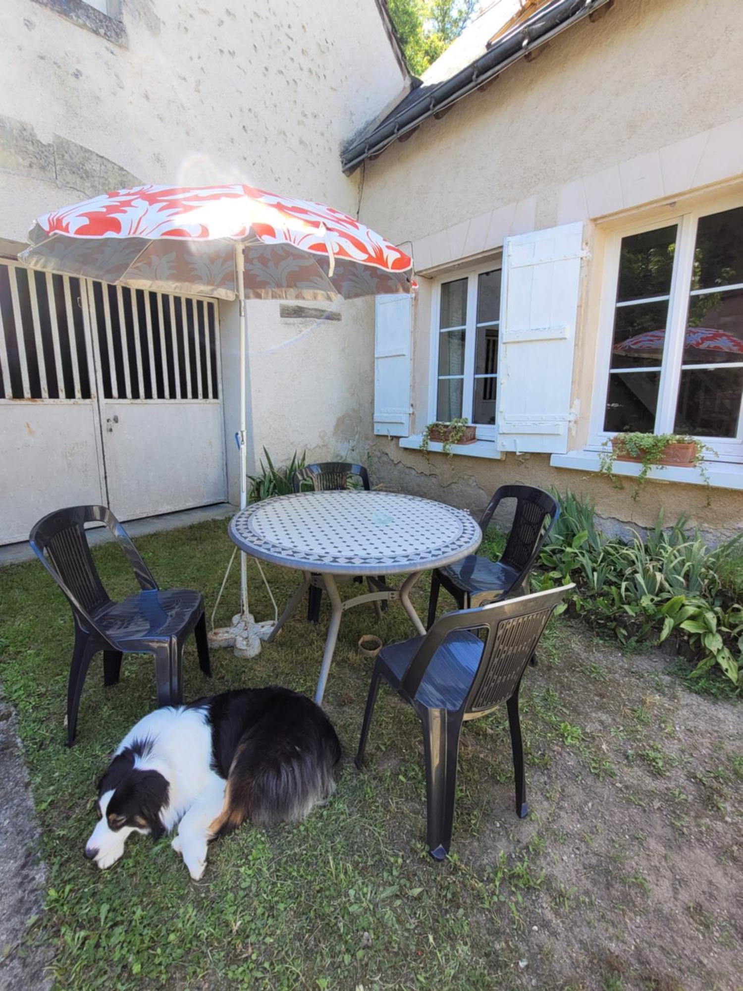 La Maison Aux Iris Poce-sur-Cisse Luaran gambar