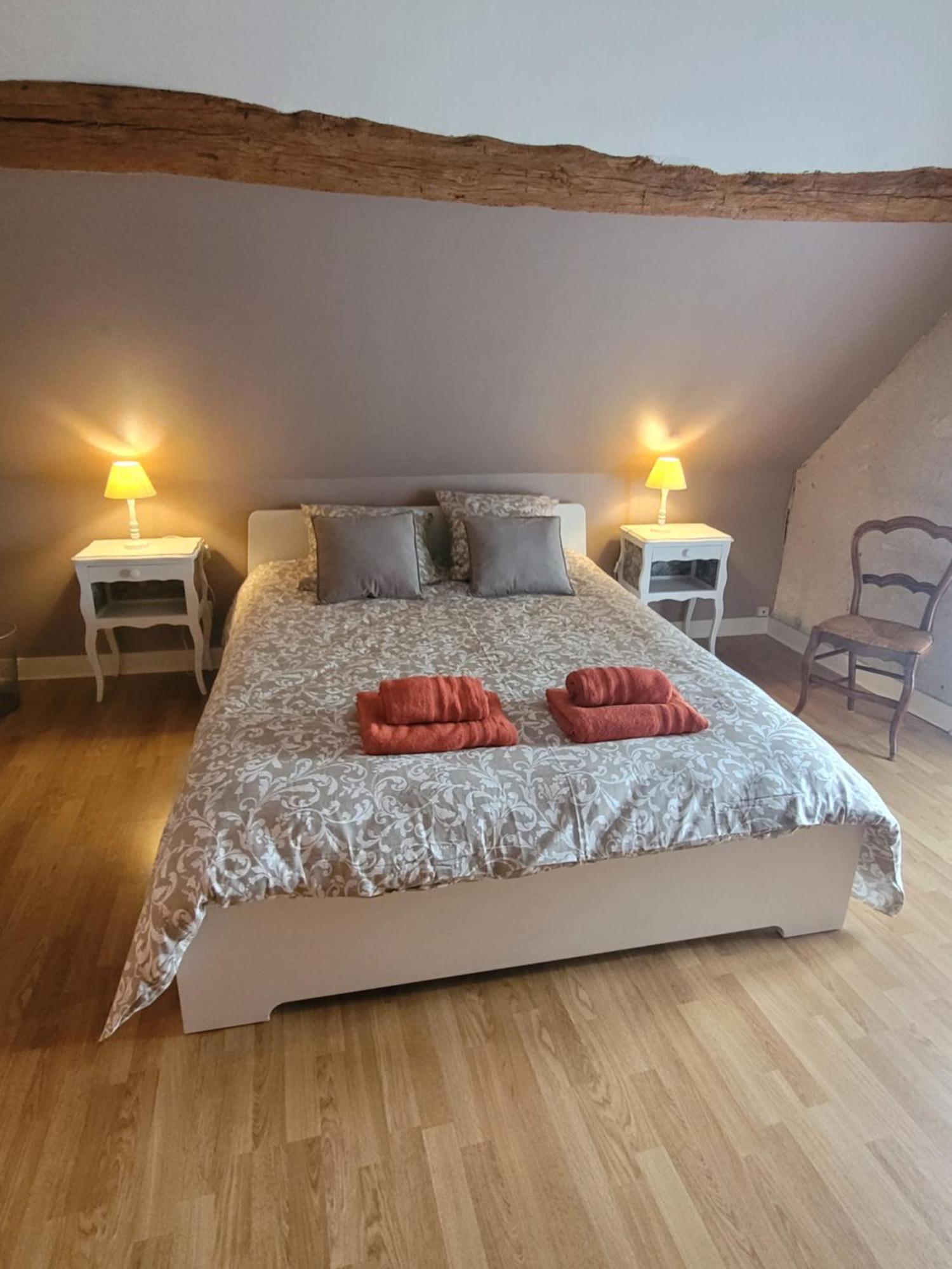La Maison Aux Iris Poce-sur-Cisse Luaran gambar